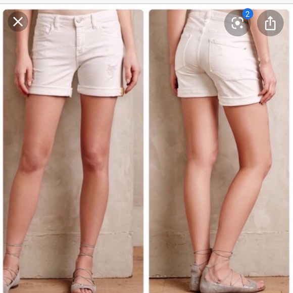 pilcro and the letterpress shorts